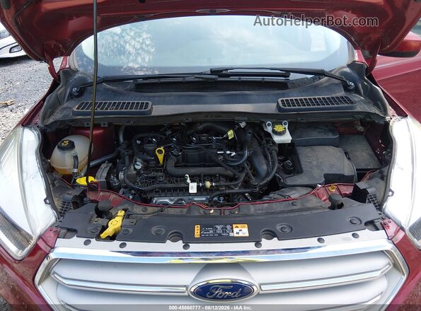 1FMCU0GD9KUA75202 2019 FORD ESCAPE Red Rear view
