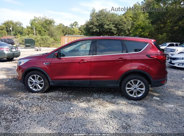 1FMCU0GD9KUA75202 2019 FORD ESCAPE Red 360 interior view