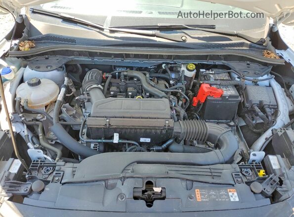 1FMCU0GN3SUB69455 2025 FORD ESCAPE Белый Вид задней части салона