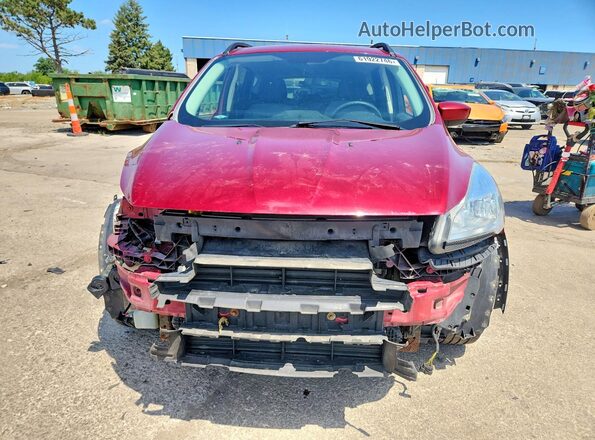 1FMCU0GX0GUA65014 2016 FORD ESCAPE Красный Вид спереди