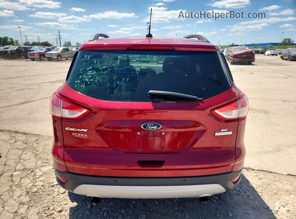 1FMCU0GX0GUA65014 2016 FORD ESCAPE Красный Вид сзади