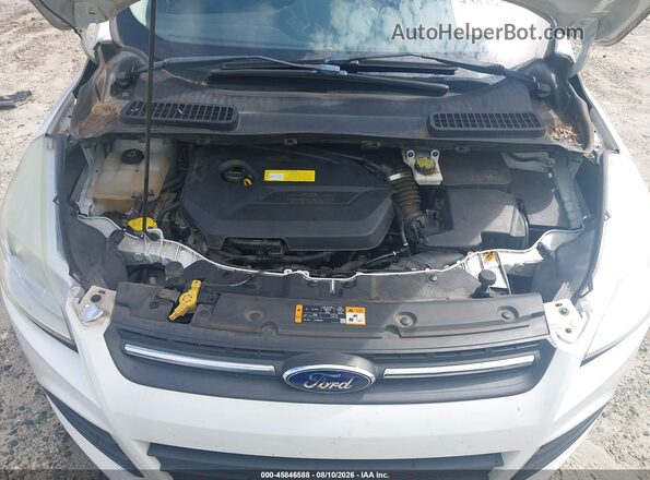 1FMCU0GX1GUA95199 2016 FORD ESCAPE White Widok z tyłu