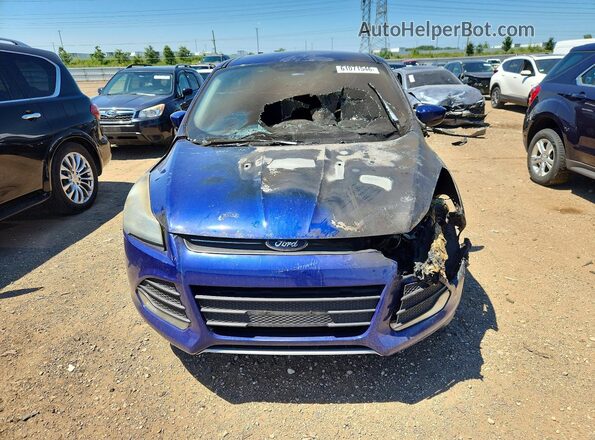 1FMCU0GX2GUB16741 2016 FORD ESCAPE Синий Вид спереди