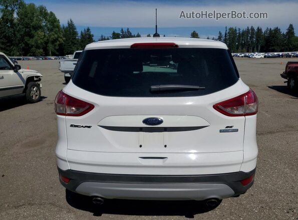1FMCU0GX4GUC83036 2016 FORD ESCAPE White Հետևի տեսք