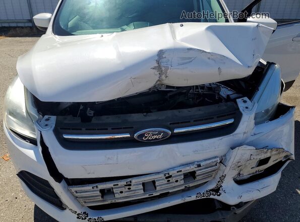 1FMCU0GX4GUC83036 2016 FORD ESCAPE White Շարժիչի բաժամունքի տեսք