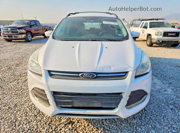 1FMCU0GX9GUB96796 2016 FORD ESCAPE Белый Вид спереди