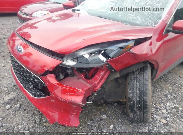 1FMCU0H62MUA31044 2021 FORD ESCAPE Red წინა ხედი