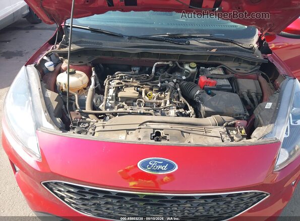 1FMCU0H63NUA81503 2022 FORD ESCAPE Красный Вид сзади