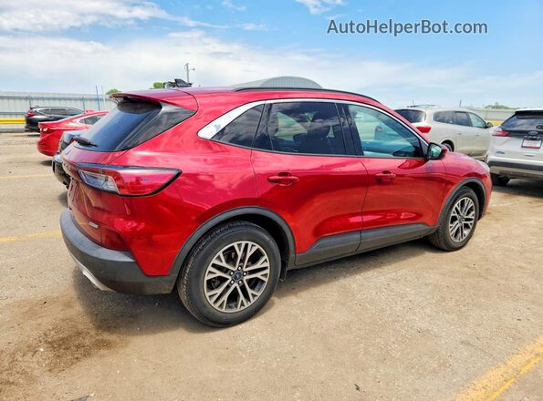 1FMCU0H68LUA33766 2020 FORD ESCAPE Red Задня права чверть