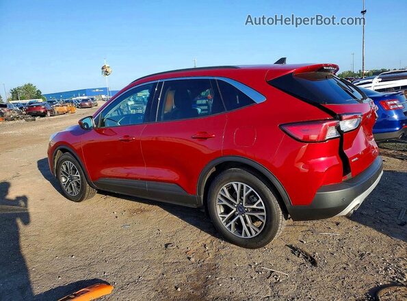 1FMCU0H68LUB98250 2020 FORD ESCAPE Red უკანა მარცხენა