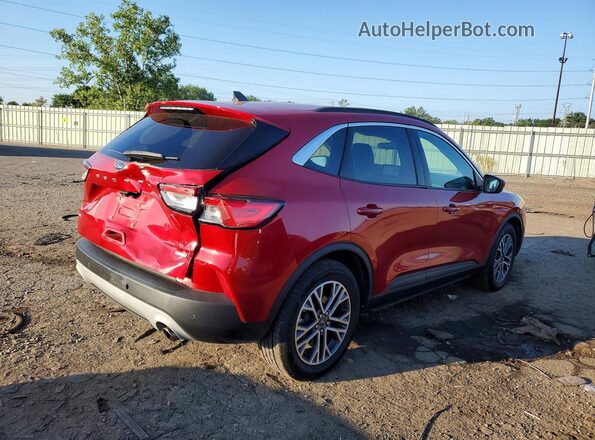 1FMCU0H68LUB98250 2020 FORD ESCAPE Red უკანა მარჯვენა