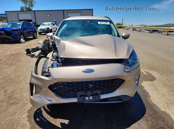 1FMCU0H68MUB05079 2021 FORD ESCAPE Золотой Вид спереди