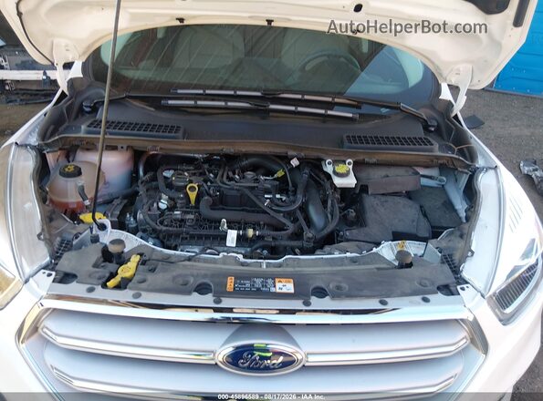 1FMCU0HD5KUB28489 2019 FORD ESCAPE Белый Вид сзади