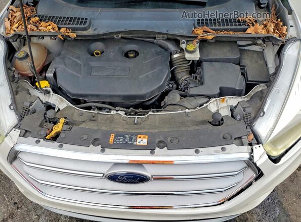 1FMCU0J93HUB49291 2017 FORD ESCAPE White Սալոնի հետևի տեսք