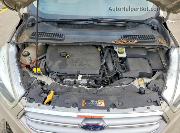 1FMCU0JD6HUB06102 2017 FORD ESCAPE Beige Widok komory silnika