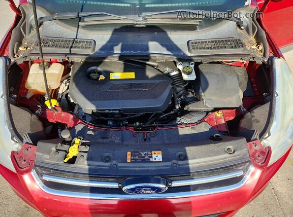 1FMCU0JX5GUB79650 2016 FORD ESCAPE Красный Вид подкапотного пространства