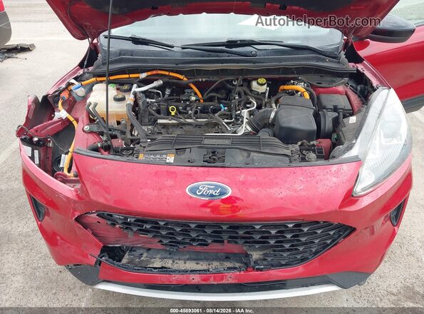 1FMCU9BZ7LUA55829 2020 FORD ESCAPE Red Vista trasera