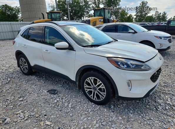 1FMCU9CZXNUA09185 2022 FORD ESCAPE White წინა მარჯვენა