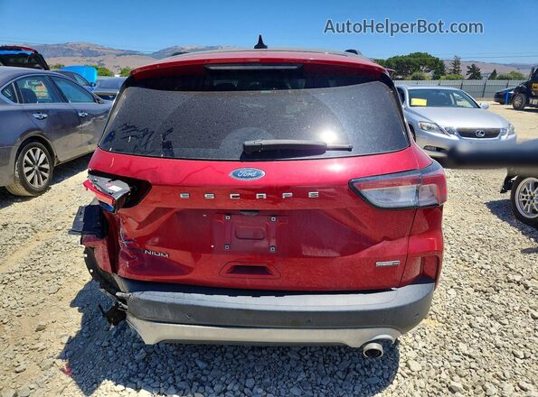1FMCU9DZ6LUB24653 2020 FORD ESCAPE Red Rear view