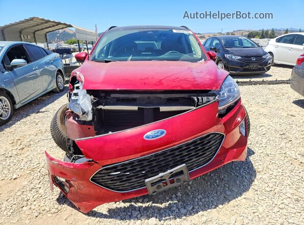 1FMCU9DZ6LUB24653 2020 FORD ESCAPE Red Front view