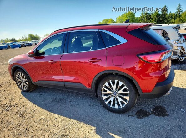 1FMCU9DZ7LUB76633 2020 FORD ESCAPE Burgundy უკანა მარცხენა