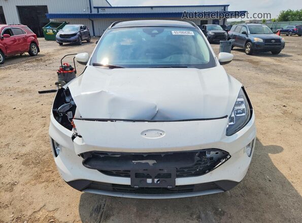 1FMCU9DZ9MUB20405 2021 FORD ESCAPE White Widok z przodu