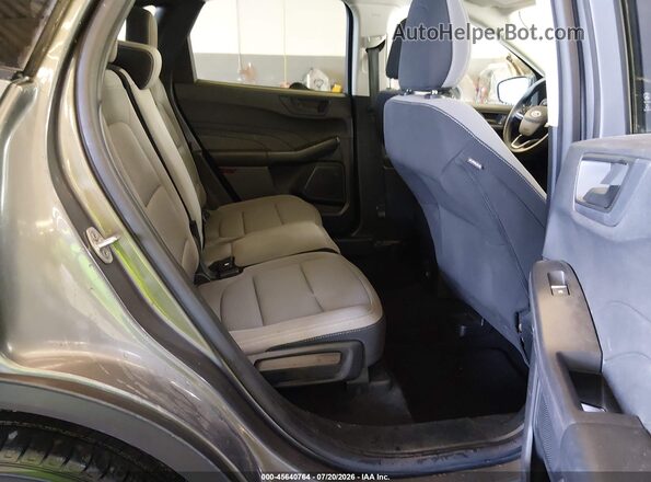 1FMCU9F65MUA73859 2021 FORD ESCAPE Gray VIN կոդի պիտակի տեսք