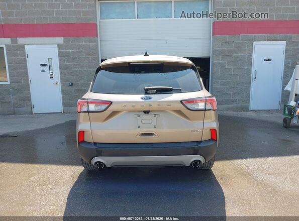 1FMCU9F69MUA68101 2021 FORD ESCAPE Tan 