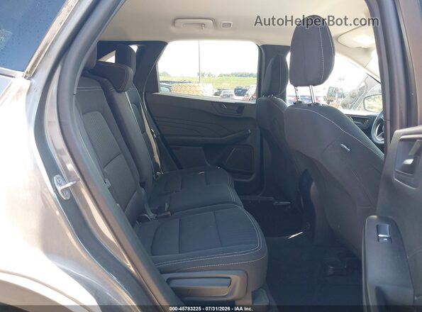 1FMCU9FNXPUA59273 2023 FORD ESCAPE Gray Vista de la etiqueta del VIN