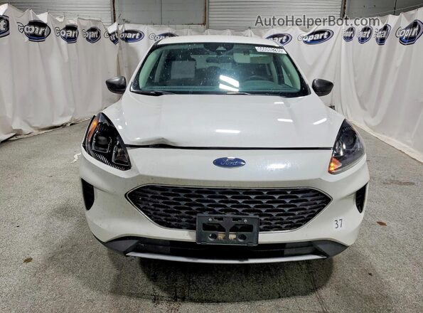 1FMCU9G60NUA60906 2022 FORD ESCAPE White Widok z przodu