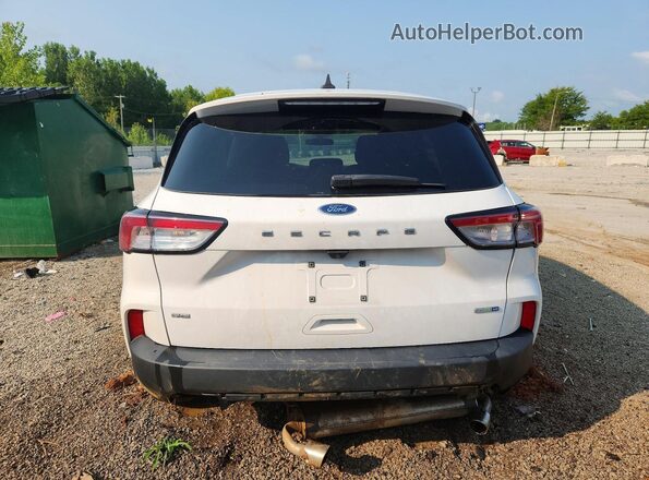 1FMCU9G62LUC06381 2020 FORD ESCAPE Белый Вид сзади