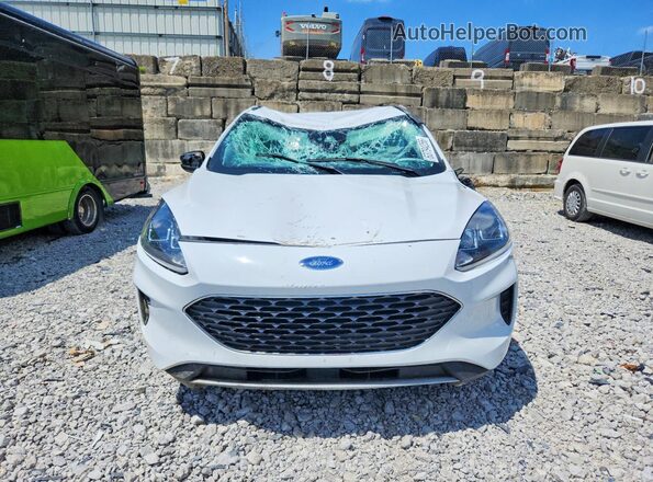 1FMCU9G62MUB33661 2021 FORD ESCAPE White Դիմացի տեսք