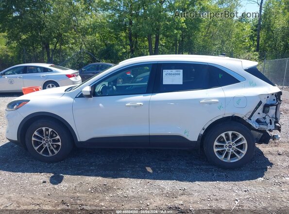 1FMCU9G64LUA89239 2020 FORD ESCAPE White 