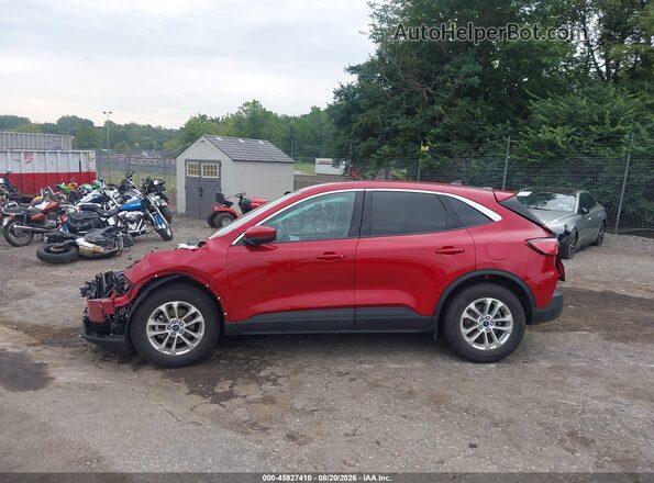 1FMCU9G65LUC70933 2020 FORD ESCAPE Red Widok wnętrza z tyłu