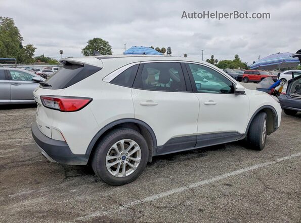 1FMCU9G67LUB69151 2020 FORD ESCAPE White Tył prawy