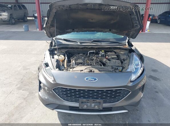 1FMCU9G67LUC61909 2020 FORD ESCAPE Silver Widok z tyłu