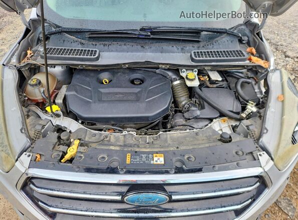 1FMCU9G91HUE86604 2017 FORD ESCAPE Серебряный Вид задней части салона