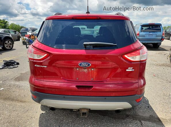1FMCU9G94GUB29366 2016 FORD ESCAPE Red უკანა ხედი