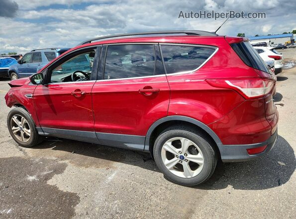 1FMCU9G94GUB29366 2016 FORD ESCAPE Red უკანა მარცხენა