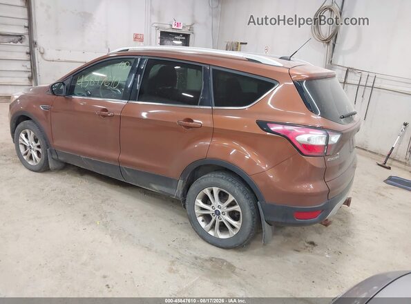 1FMCU9G95HUD07108 2017 FORD ESCAPE Коричневый Задняя левая четверть