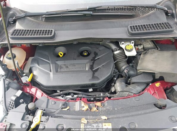 1FMCU9G98KUB66588 2019 FORD ESCAPE Red Widok z tyłu