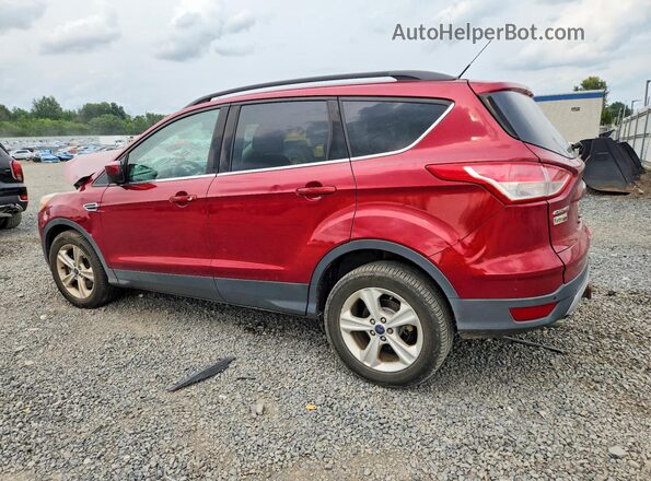 1FMCU9G99GUB42565 2016 FORD ESCAPE Red უკანა მარცხენა