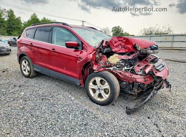 1FMCU9G99GUB42565 2016 FORD ESCAPE Red წინა მარჯვენა