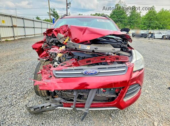 1FMCU9G99GUB42565 2016 FORD ESCAPE Red წინა ხედი