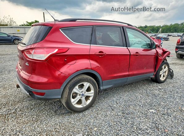 1FMCU9G99GUB42565 2016 FORD ESCAPE Red უკანა მარჯვენა