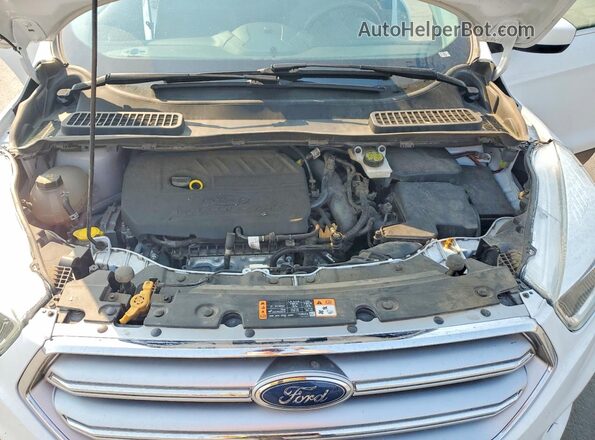 1FMCU9GD0HUA69804 2017 FORD ESCAPE White Շարժիչի բաժամունքի տեսք