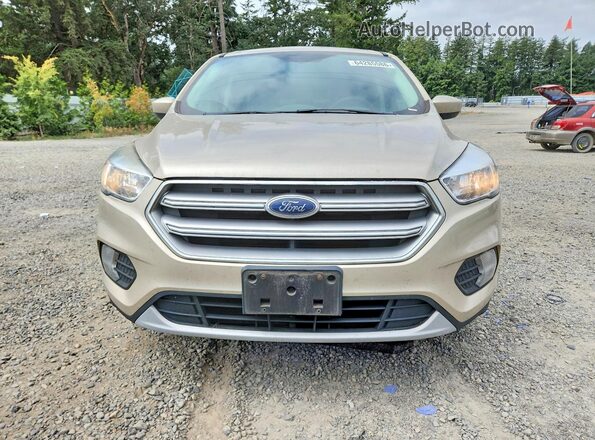 1FMCU9GD0HUC81019 2017 FORD ESCAPE Бежевый Вид спереди