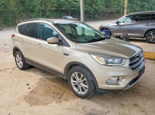 1FMCU9GD0HUE81706 2017 FORD ESCAPE Tan Առջևի աջ