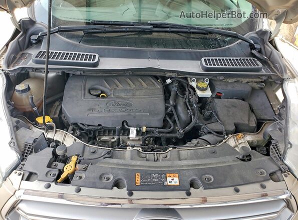 1FMCU9GD0HUE81706 2017 FORD ESCAPE Tan Սալոնի հետևի տեսք