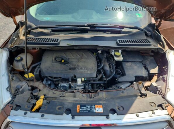 1FMCU9GD1HUB35034 2017 FORD ESCAPE Brown Սալոնի հետևի տեսք